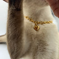 Chaîne en or avec un pendentif en forme de cœur sur le cou d’un chat

