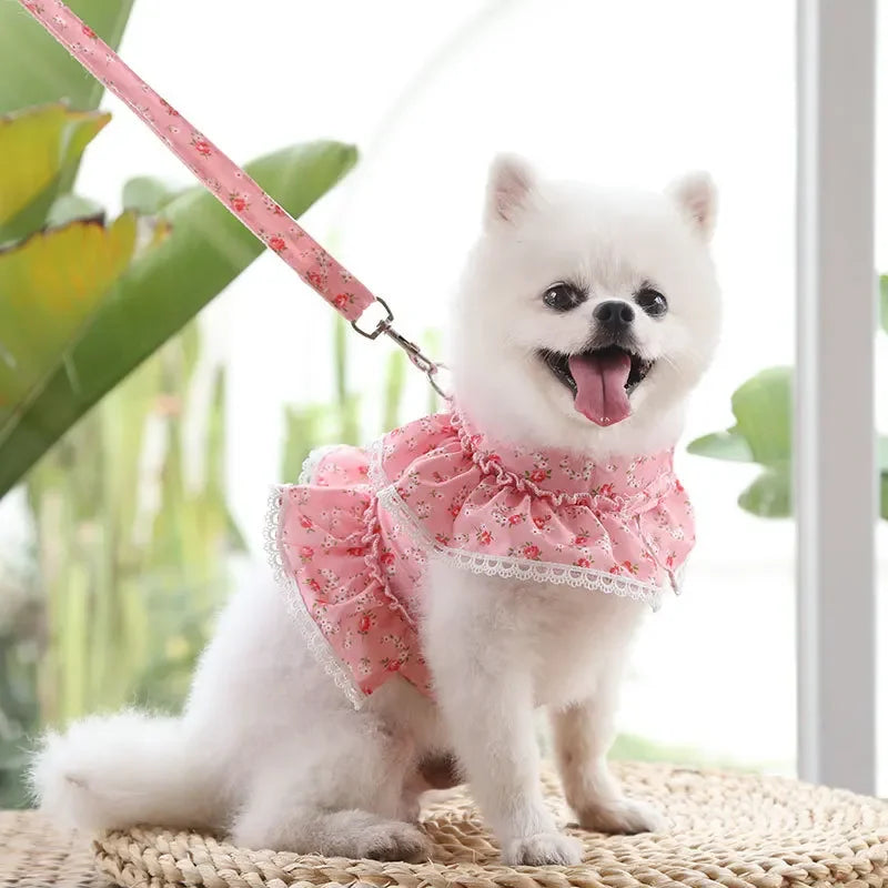 Petit animal blanc vêtu d’une robe rose avec une laisse, debout sur une surface tissée avec de la verdure en arrière-plan.

