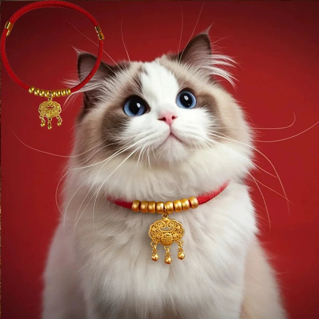 Cat wearing a red and gold necklace on a red background

