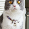 Chat portant un collier coloré avec des clochettes

