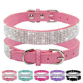 Collier rose pour chien avec des détails en strass sur fond blanc

