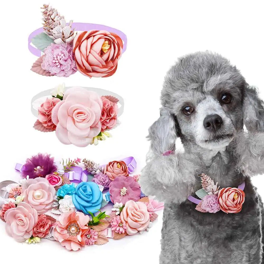 Chien portant un collier fleuri avec des accessoires floraux supplémentaires sur fond blanc

