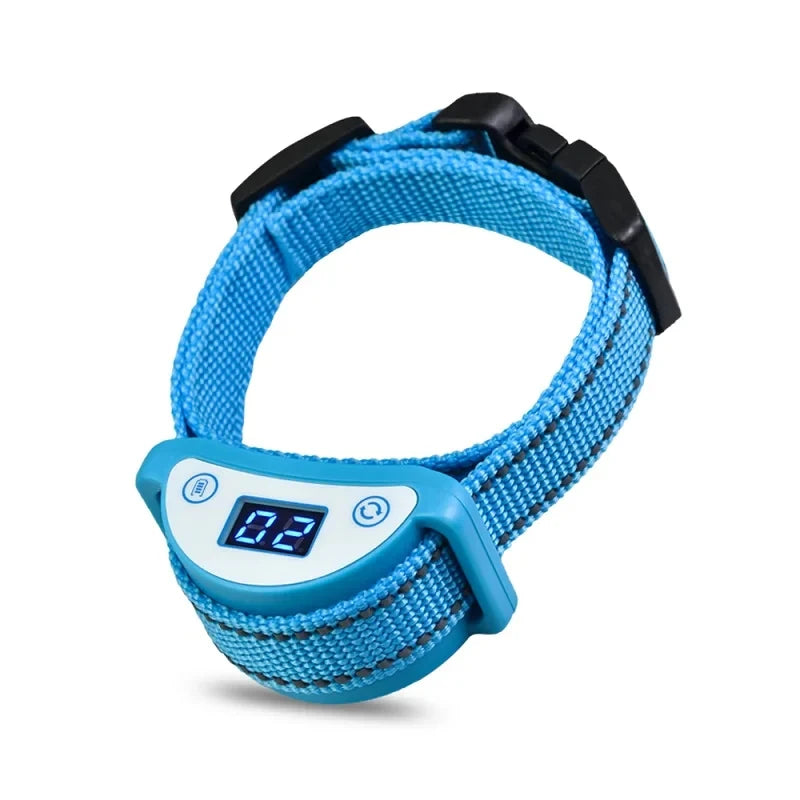 Collier bleu avec affichage numérique sur fond blanc

