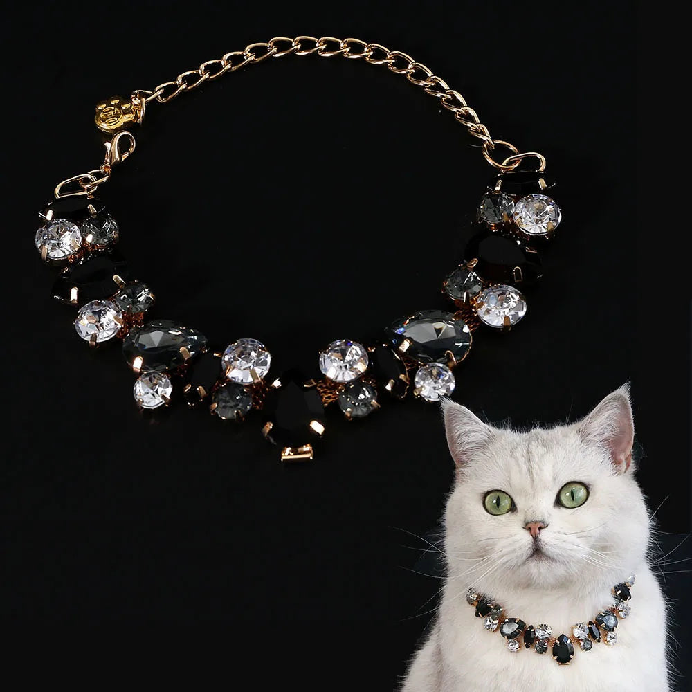 Chat portant un collier décoratif avec des cristaux sur fond en noir