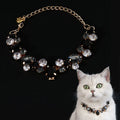 Chat portant un collier décoratif avec des cristaux sur fond en noir