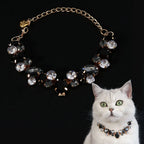 Chat portant un collier décoratif avec des cristaux sur fond en noir