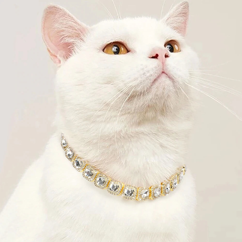 Chat blanc portant un collier décoratif en or et en cristal sur un fond clair
