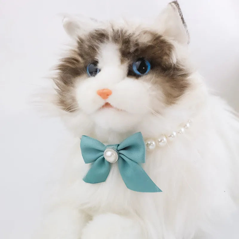 Chat portant un nœud bleu avec une perle sur fond blanc

