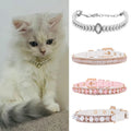 Chat blanc portant un collier argenté avec des colliers décoratifs pour animaux exposés en dessous sur fond blanc.
