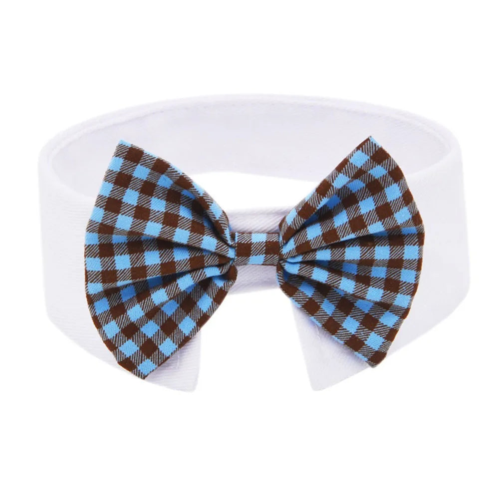 Nœud papillon à carreaux avec un motif bleu et marron sur fond blanc

