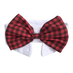 Nœud papillon à carreaux rouge et noir sur fond blanc

