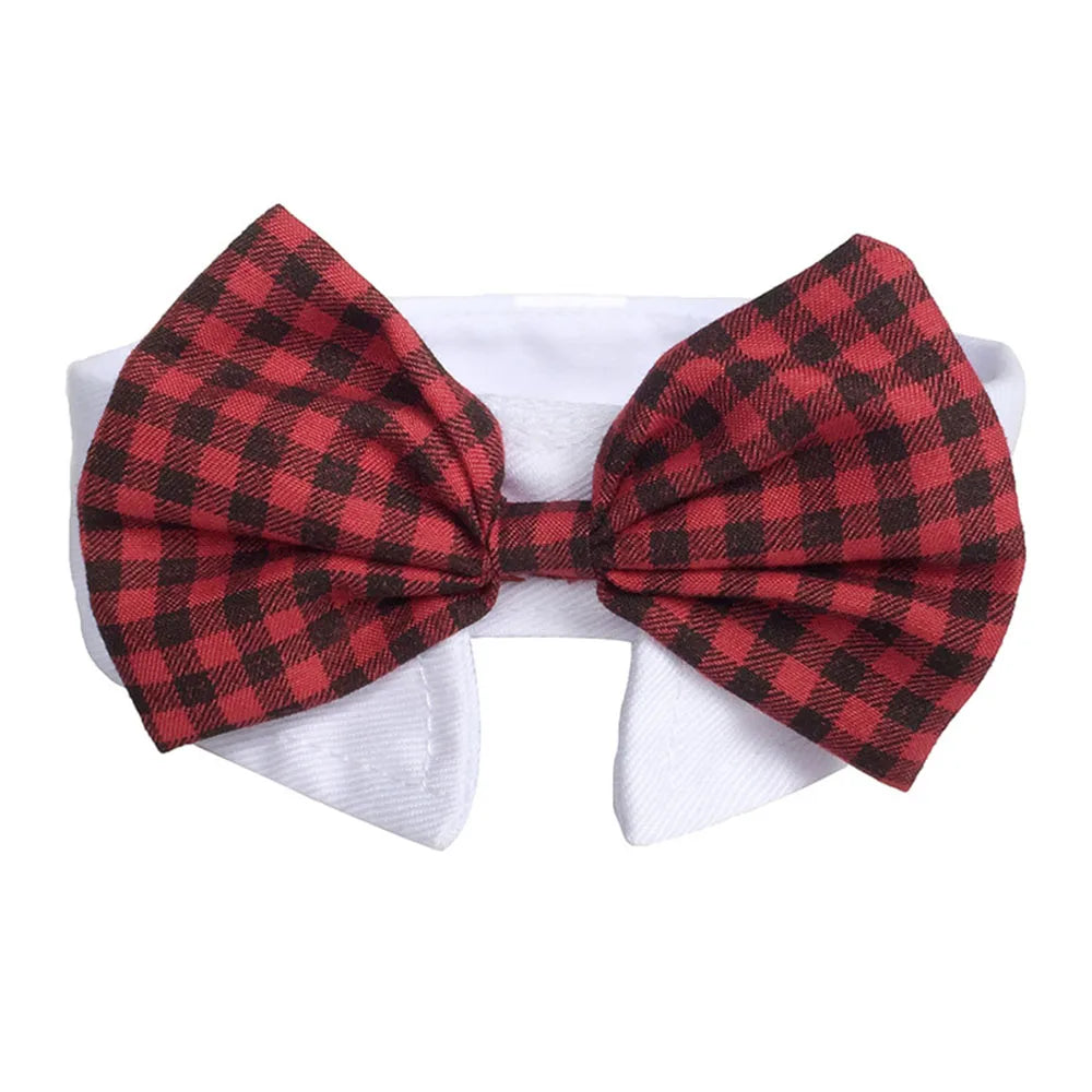 Nœud papillon à carreaux rouge et noir sur fond blanc

