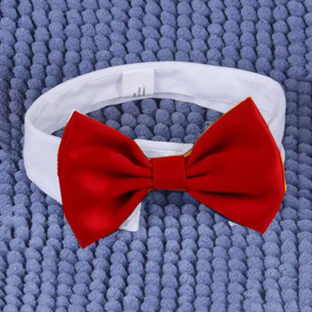 Bandeau blanc avec un nœud rouge sur fond bleu texturé

