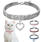 Chat portant un collier ras-du-cou argenté avec un charme en forme de cœur, entouré de colliers supplémentaires de différentes couleurs.
