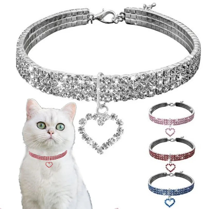 Chat portant un collier ras-du-cou argenté avec un charme en forme de cœur, entouré de colliers supplémentaires de différentes couleurs.
