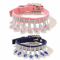 Deux colliers pour chien ornés de strass sur fond blanc

