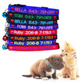 Pile de colliers colorés avec des noms et numéros de téléphone gravés, accompagnés d’un chiot et d’un chaton.
