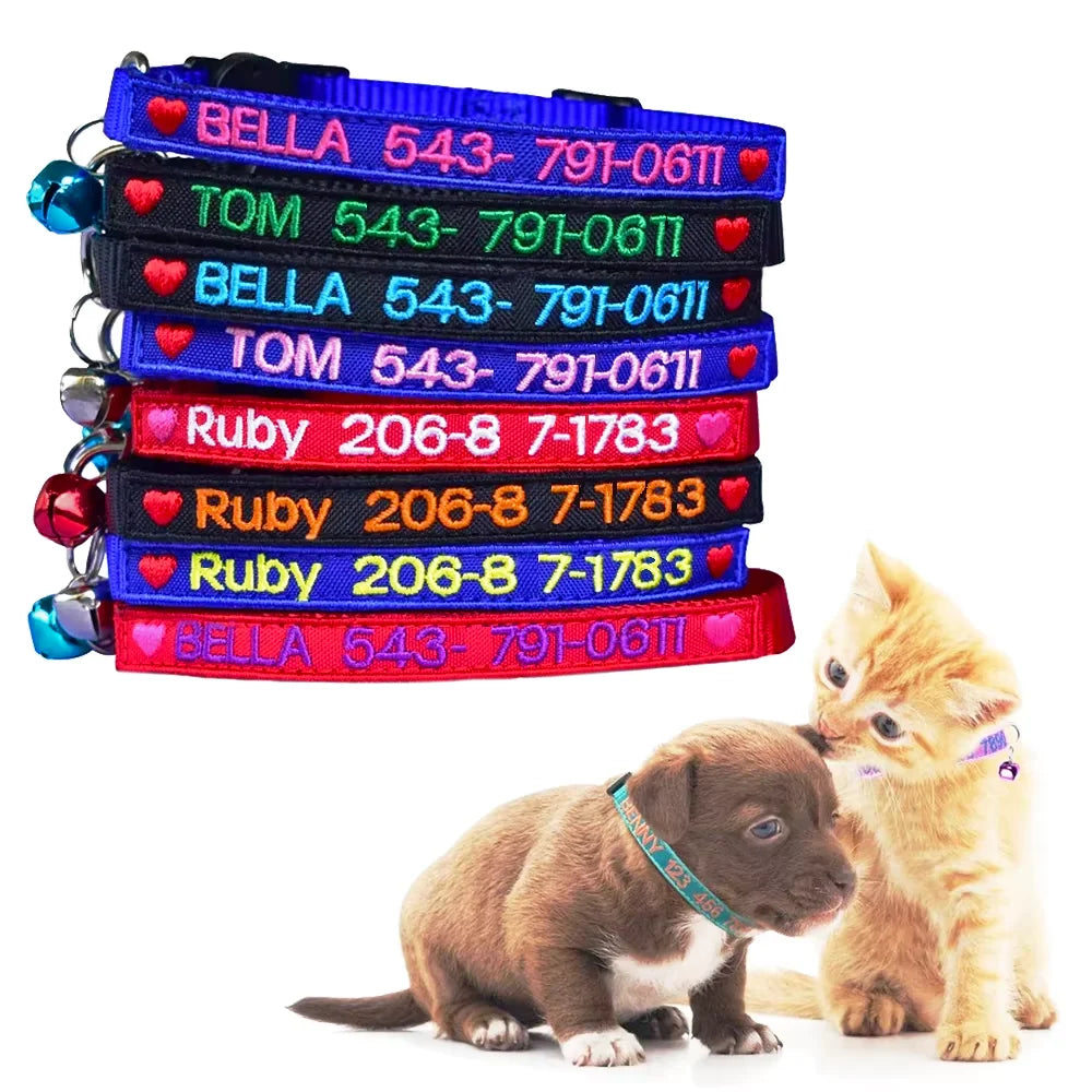 Pile de colliers colorés avec des noms et numéros de téléphone gravés, accompagnés d’un chiot et d’un chaton.
