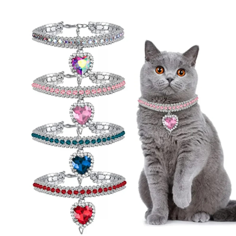Chat portant un collier coloré en strass avec quatre pendentifs en forme de cœur sur fond blanc.

