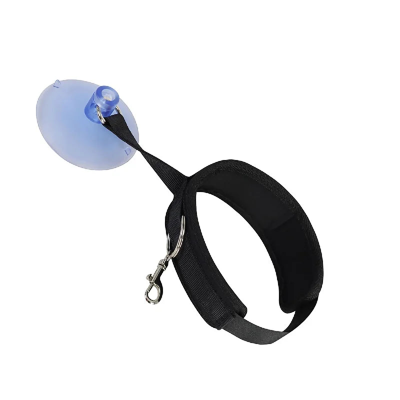 collier avec Laisse noire avec une balle bleue sur fond blanc

