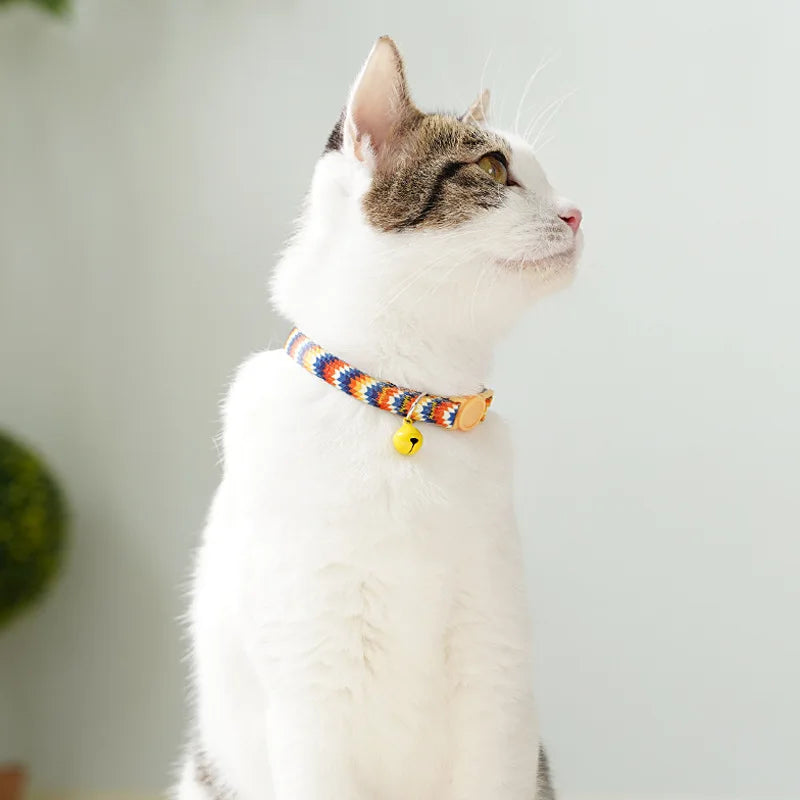 Chat portant un collier coloré avec une clochette sur fond clair

