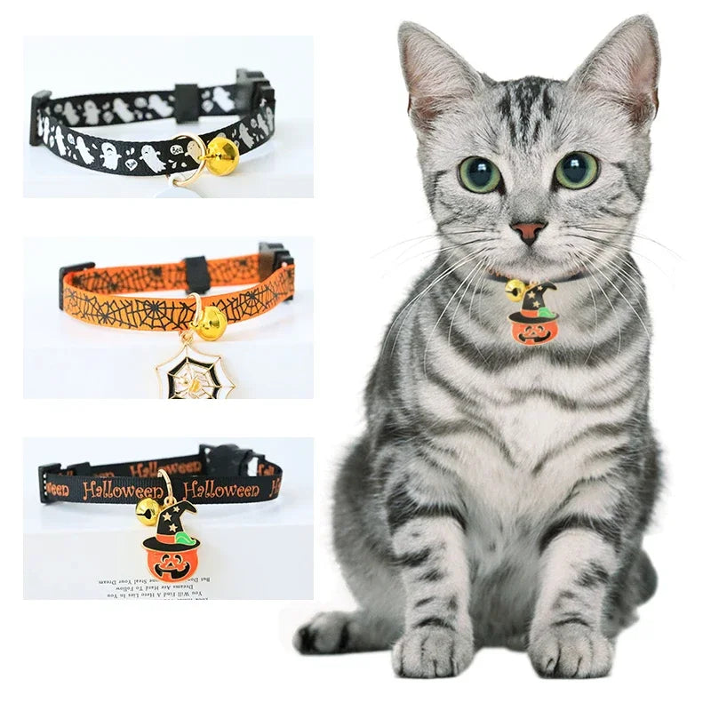 Chat portant un collier sur le thème d’Halloween avec trois colliers supplémentaires affichés ci-dessus.

