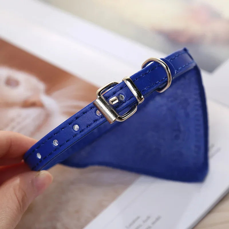 Collier en cuir bleu avec boucle argentée tenu par une main sur un fond flou
