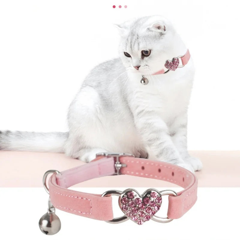 Chat blanc portant un collier rose avec un motif en forme de cœur sur fond blanc