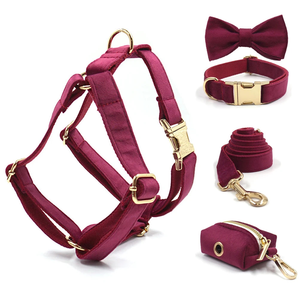 Harnais, collier, laisse et sac bordeaux avec des quincailleries dorées sur fond blanc

