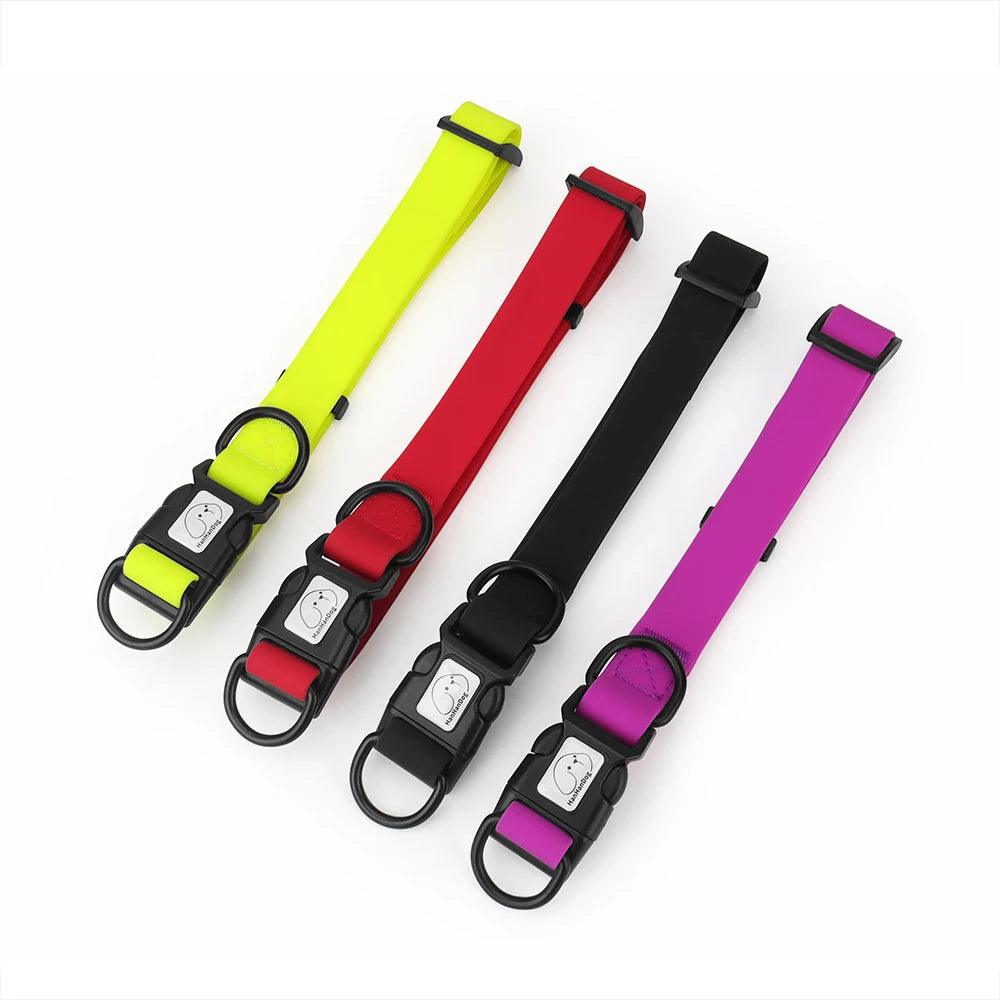 Quatre colliers pour chiens jaunes, rouges, noirs et violets sur fond blanc

