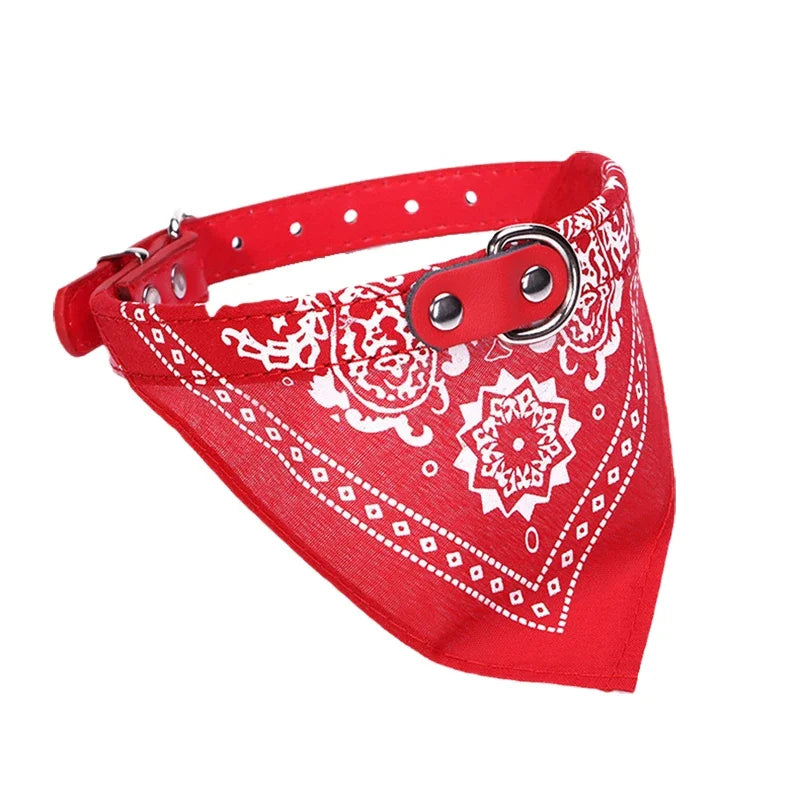 Bandeau rouge à motifs blancs et col rouge assorti sur fond blanc
