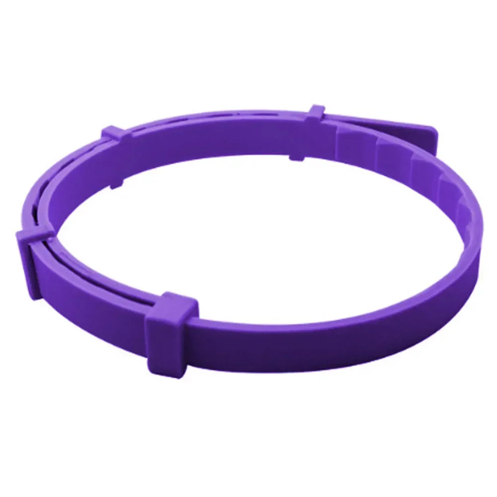Anneau en plastique violet avec des clips sur fond blanc
