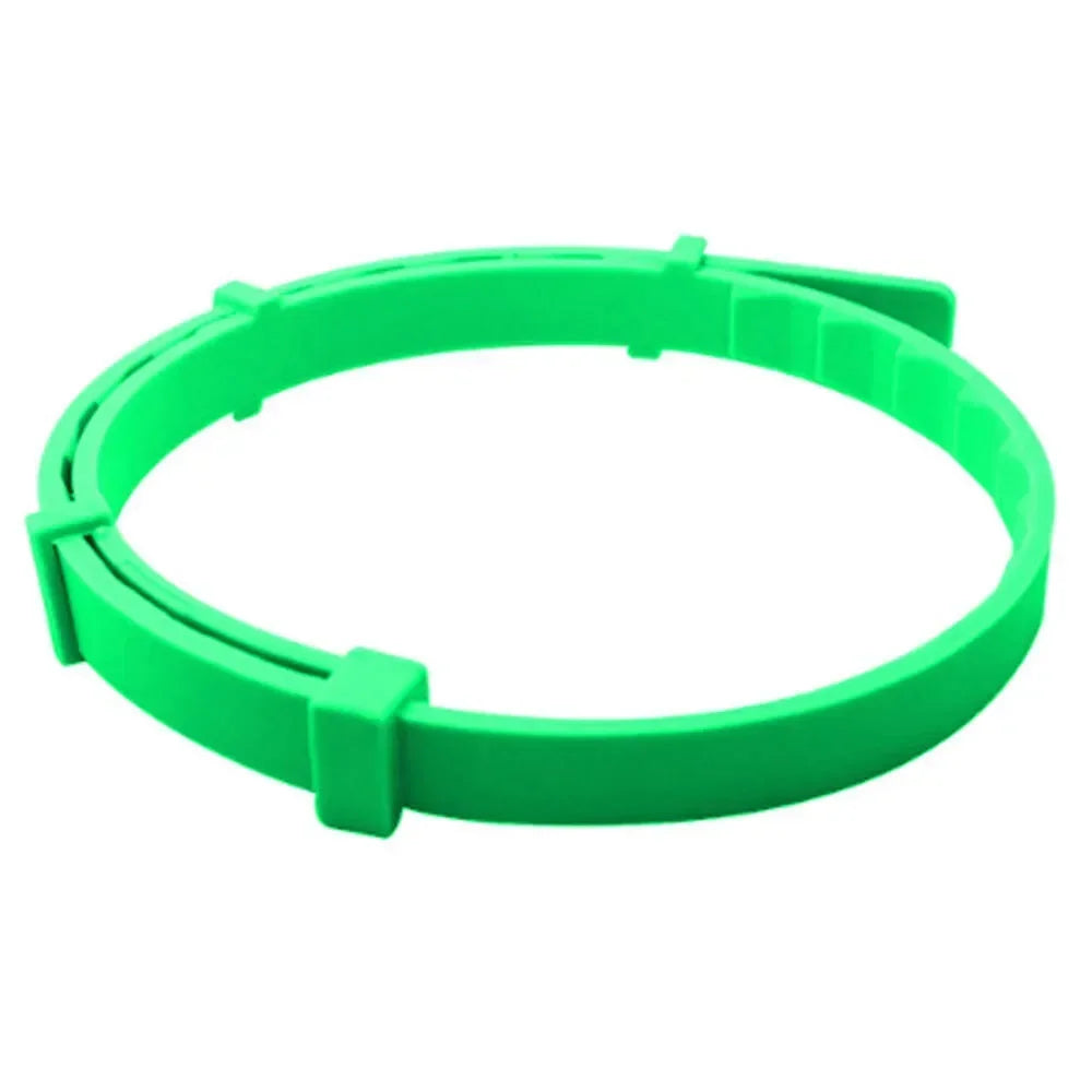 Anneau en plastique vert sur fond blanc
