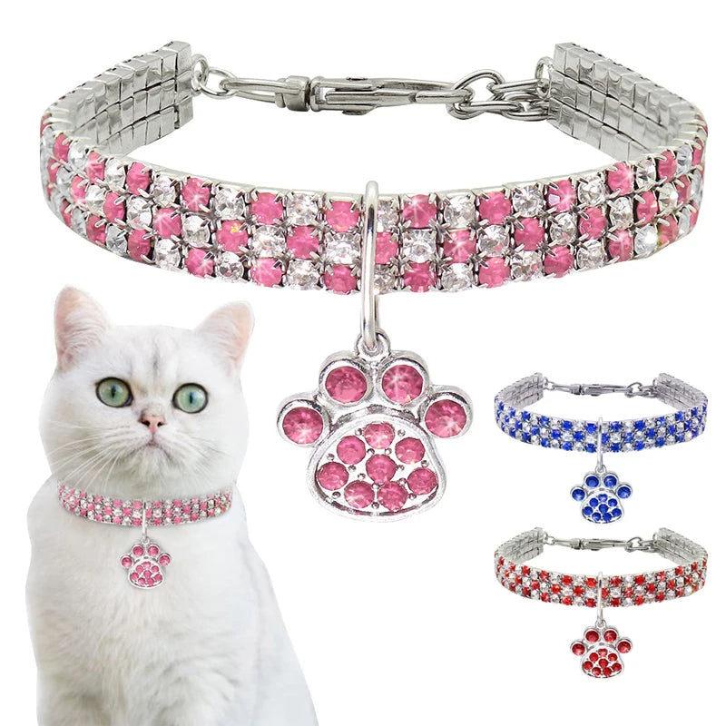 Chat portant un collier en cristal rose avec un charme en forme de patte, entouré de colliers supplémentaires avec des charmes de patte.

