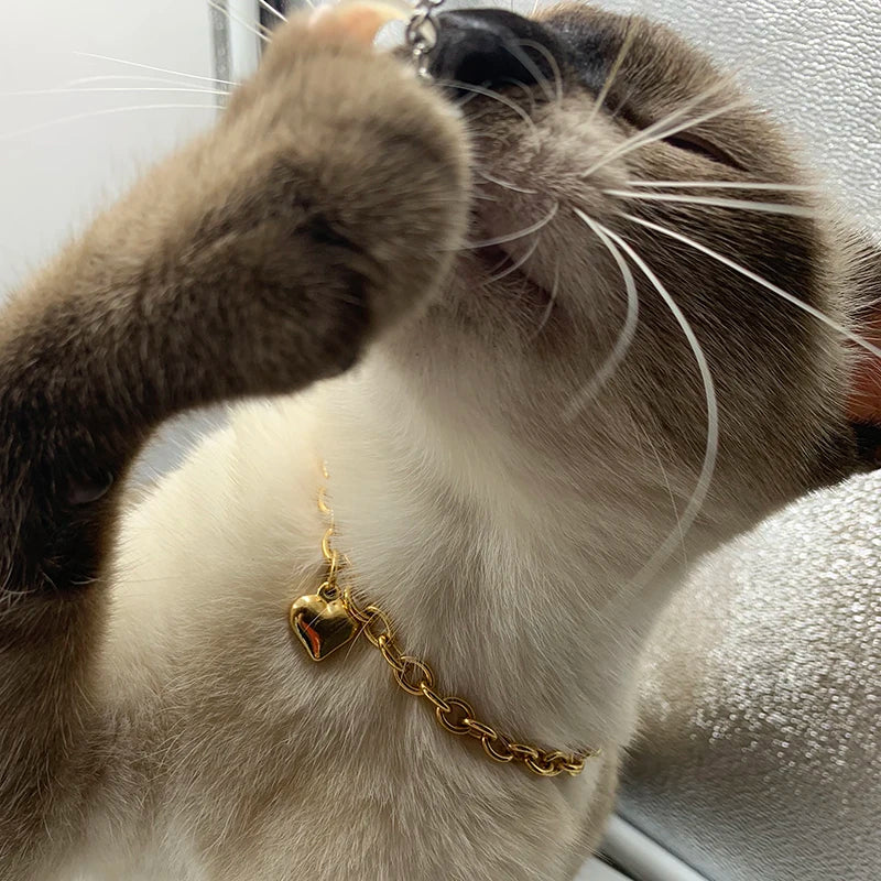 Collier chat à breloques couleur or 6mm