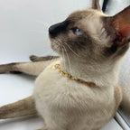 Collier chat à breloques couleur or 6mm