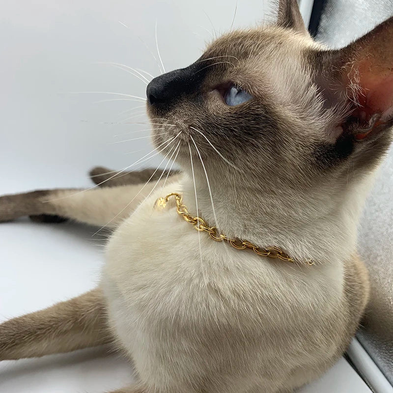 Collier chat à breloques couleur or 6mm