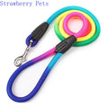Laisse colorée pour chat avec une pince sur fond blanc, marquée « Strawberry Pets ».


