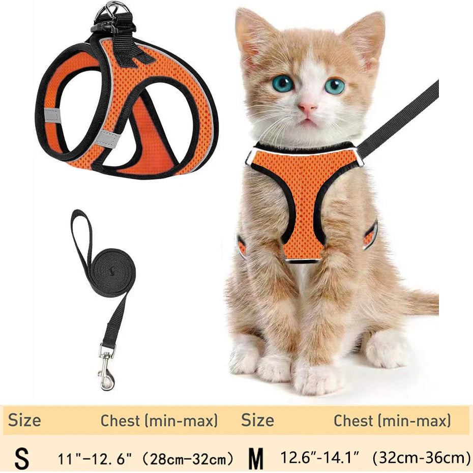 harnais pour chat haut de gamme