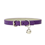 Colliers  en cuir durable pour chat