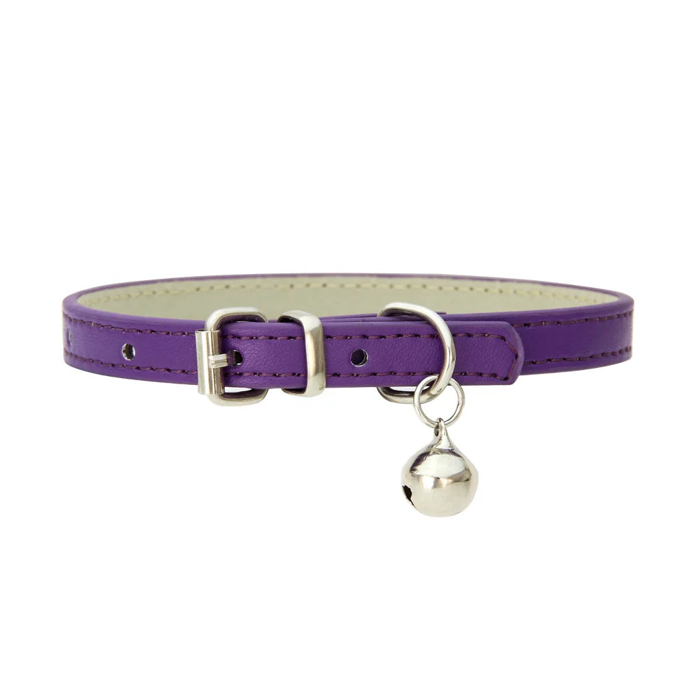 Colliers  en cuir durable pour chat
