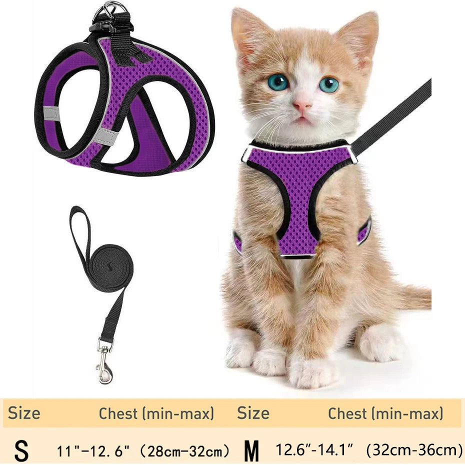 harnais pour chat haut de gamme