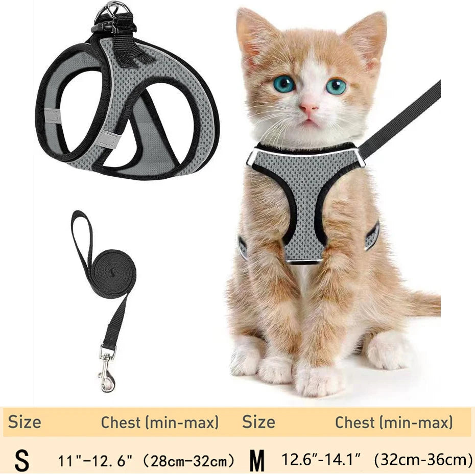 harnais pour chat haut de gamme