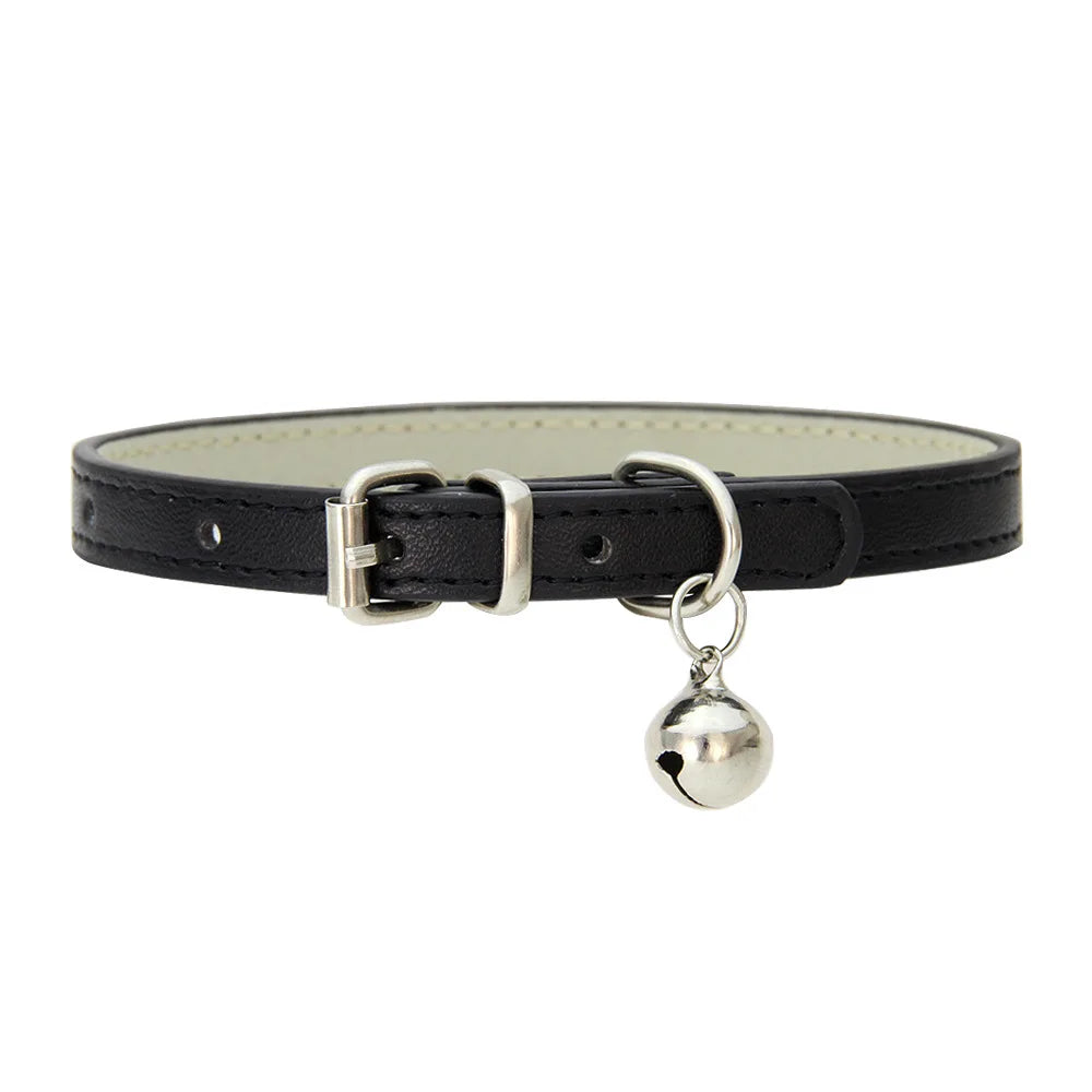 Colliers  en cuir durable pour chat