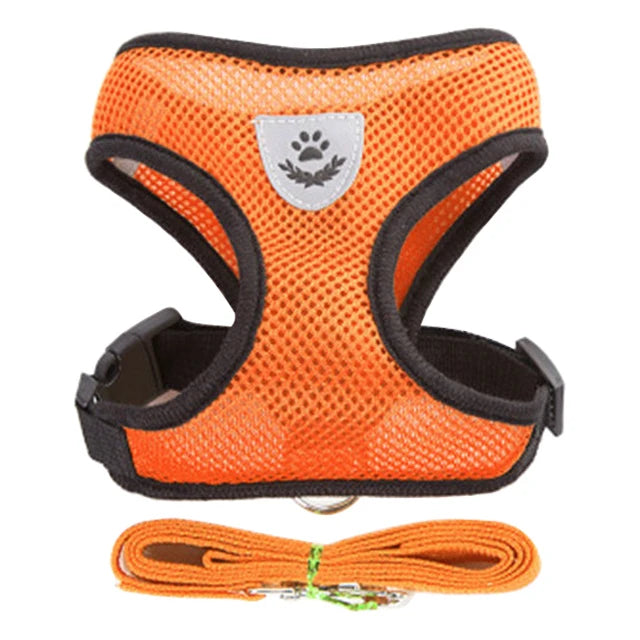 Harnais pour chat gilet respirant anti-fuite
