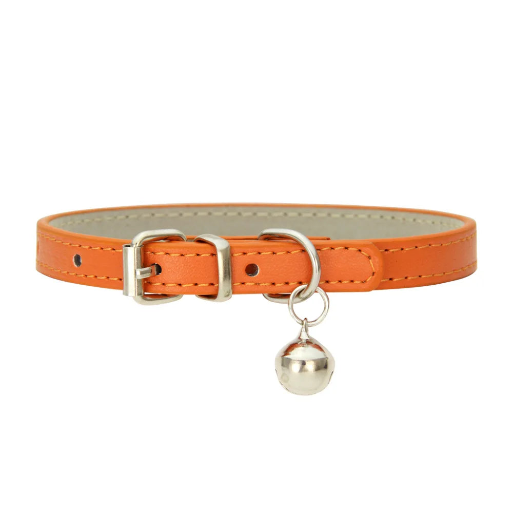 Colliers  en cuir durable pour chat