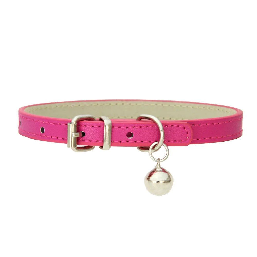 Colliers  en cuir durable pour chat