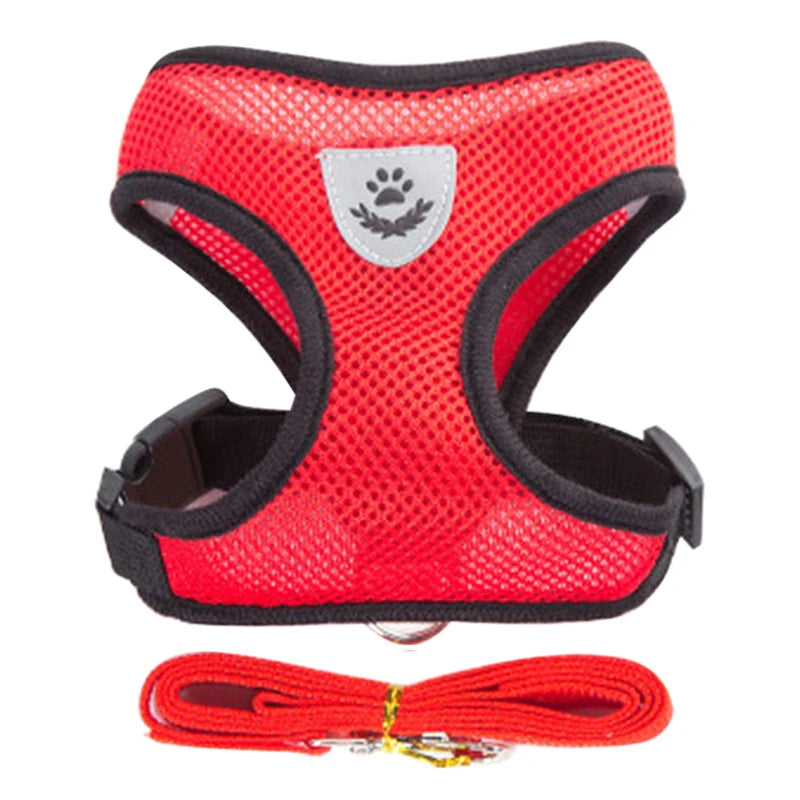 Harnais pour chat gilet respirant anti-fuite