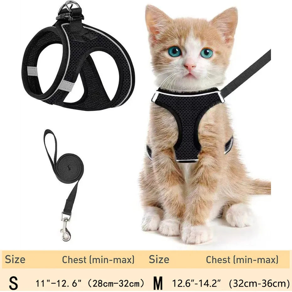 harnais pour chat haut de gamme