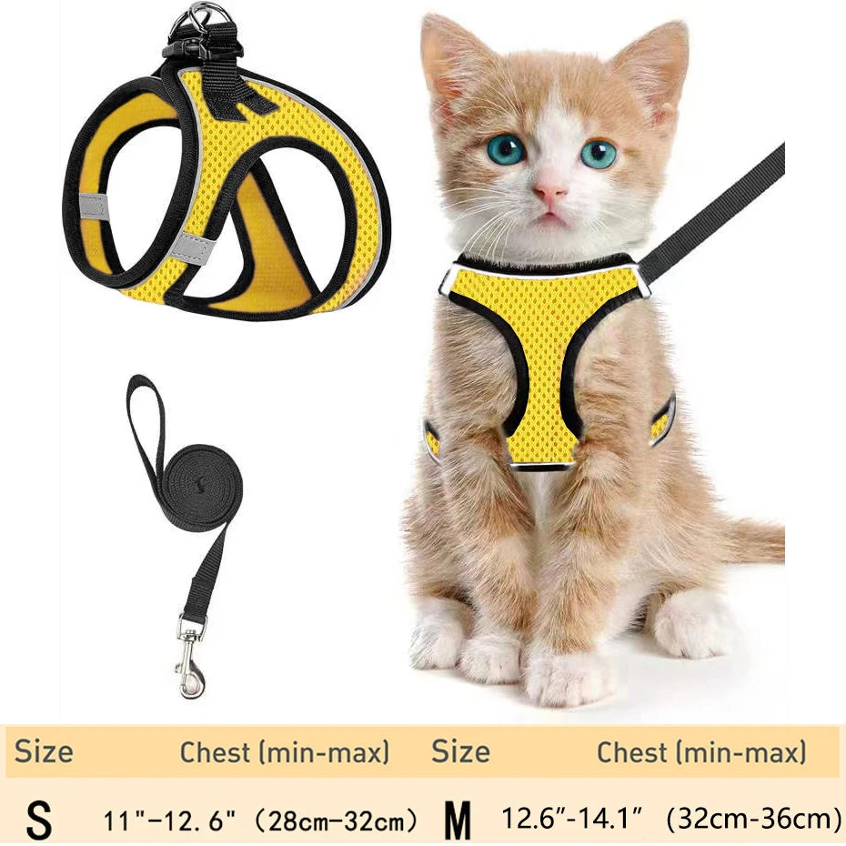 harnais pour chat haut de gamme